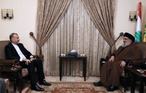 دیدار امیرعبداللهیان با دبیر کل حزب الله لبنان