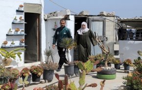 زوجان من غزة يحوّلان نبتة الألوفيرا إلى مصدر دخل