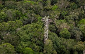 شاهد.. مشروع ضخ ثاني أكسيد الكربون في غابات الامازون لمحاكاة تغير المناخ