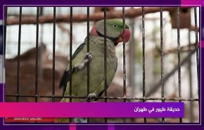 حديقة طيور في طهران