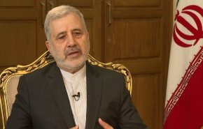 عنایتی در گفتگو با العالم: ایران به امنیت منطقه اولویت می‌بخشد
