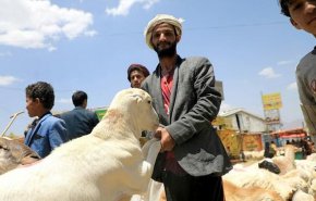 گزارش؛تداوم «جنگ اقتصادی» در یمن به رغم فروکش کردن جنگ نظامی