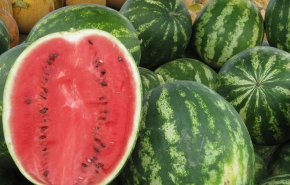 كيف تختار البطيخ الحلو؟ اليكم الأجابة