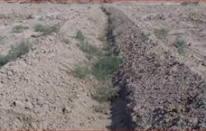 خشک شدن رودخانه های عراق و خطر آن برای کشاورزی 