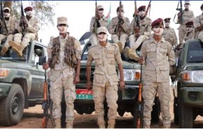 قمة دول جوار السودان: دعوات لحل سلمي وتحذيرات من تداعيات الصراع