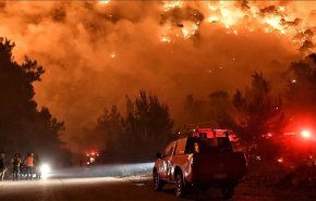فرار المئات من اليونانيين إثر حريق في غابات جزيرة رودس