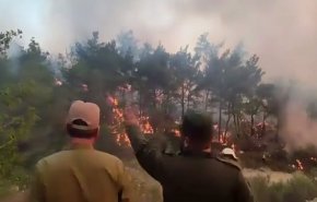 استمرار الحرائق في غابات اللاذقية في سوريا