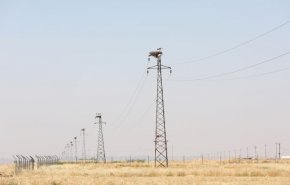 تسيير دوريات لحماية أبراج الطاقة الكهربائية في العراق