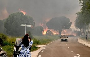 حرائق غابات كبيرة تجتاح جنوب فرنسا