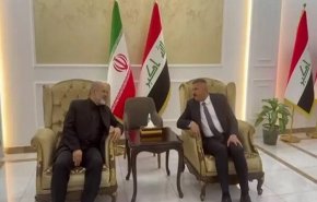 وزیر کشور با استقبال همتای عراقی خود وارد بغداد شد