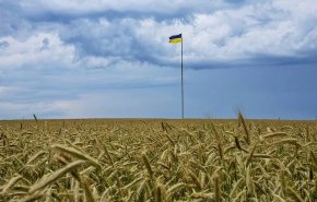 کمیسیون اروپا ممنوعیت ورود غلات اوکراین را تمدید نکرد