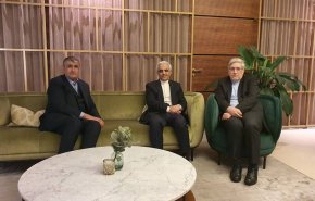«اسلامی» رئیس سازمان انرژی اتمی ایران وارد وین شد
