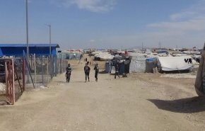 فعال سیاسی عراق: 500 داعشی در اردوگاه الهول ناپدید شده‌اند
