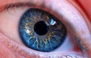 كيف يحمي الميلانين العين من السموم 
