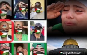 شاهد..العالم ينادي 'سلام يا مهدي' على 'تيك توك' لتحرير فلسطين!