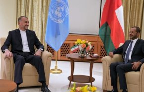مخالفت قاطع وزرای خارجه ایران و عمان با کوچ اجباری ساکنان غزه

