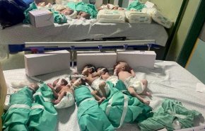 وصول 31 من الأطفال الخدج من مجمع الشفاء إلى المستشفى الاماراتي
