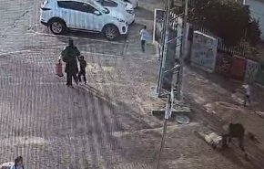 صحنه دلخراش شهادت مادر فلسطینی به ضرب چاقوی یک صهیونیست +ویدیو
