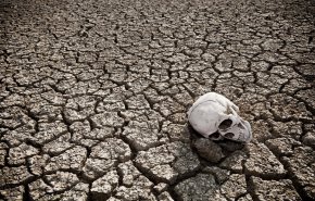 'كارثة بيولوجيةبشرية'..الأرض في خطر 'الانقراض السادس'!