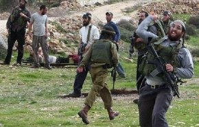 مستوطنون يعتدون بالضرب على مواطن فلسطيني جنوب جنين
