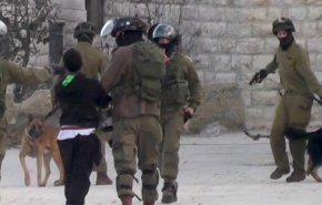 حمله سگ اسرائیلی به کودک فلسطینی 