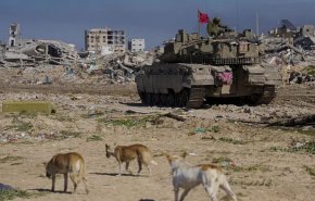 حمله سگ‌ها به نظامیان ارتش اشغالگر در غزه 