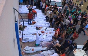 عفو بین‌الملل: درباره کشتار مردم غزه در صف دریافت کمک‌های بشردوستانه تحقیق فوری شود