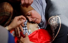 شهدای غزه به 31112 نفر افزایش یافت 