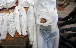 آمار شهدای غزه به ۳۴ هزار و ۵۳۵ نفر افزایش یافت