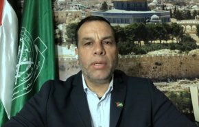 فقدان رئيسي وأميرعبداللهيان خسارة للمقاومة الفلسطينية + فيديو