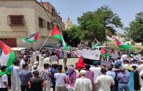  56 مدينة مغربية تخرج نصرة لفلسطين وتنديدا بالحرب على غزة