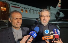 باقري: عضوية إيران في البريكس إرث دائم للشهيدين رئيسي وأمير عبداللهيان