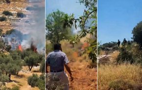 انتهاكات إسرائيلية في الضفة الغربية وإشعل النار في أراض زراعية