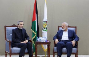 تشریح مواضع حماس درباره طرح سیاسی توقف جنگ در دیدار باقری