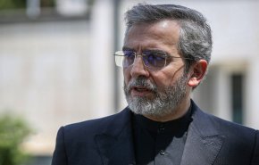 باقري كني: إيران أصبحت شريكا ستراتيجيا في تكتل بريكس