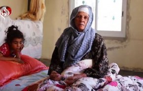حمله وحشیانه شهرک‌نشینان به زن سالخورده فلسطینی!+فیلم
