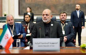 وزير الداخلية يدعو لعدم بقاء زوار الاربعين لاكثر من اسبوع في العراق
