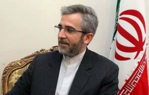 استقبال کشورهای اسلامی از برگزاری نشست اضطراری وزرای امور خارجه