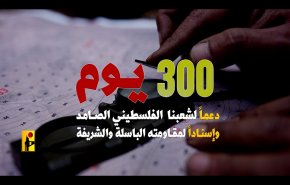 خلال 300 يوم: المقاومة بلبنان نفذت 2300 عملية ضد الاحتلال بعمق 35 كلم