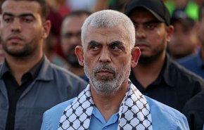 عبدالسلام: الشهيد السنوار نال الشهادة مقبلاً غير مدبر