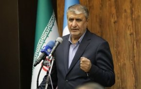 اسلامي: ايران وصلت الى مرحلة النضج التكنولوجي والصناعي النووي