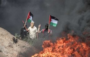 11 عملاً مقاوماً في الضفة خلال 24 ساعة