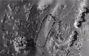 بهذا الفيديو..الرئيس الأمريكي يبرر عدوانه على الشعب اليمني!