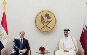مصر وقطر تؤكدان أهمية الجهود المشتركة لوقف الحرب بغزة