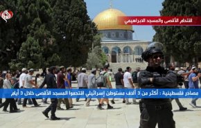 إقتحام الأقصى والمسجد الابراهيمي 