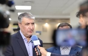 إسلامي: مطلب إيران الدائم من الوكالة هو الحياد والتصرف المهني