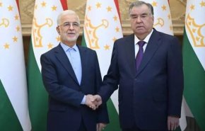 دیدار وزیر کشور با رئیس جمهوری تاجیکستان