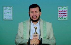  المواجهة المباشرة في قطاع غزة دليل على فاعلية وجدوى خيار المقاومة + فيديو