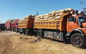 العراق يقدم أكثر من 200 ألف طن من القمح هدية لسوريا
