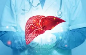 اكتشاف علمي: مركب فعال لعلاج الكبد وتحقيق أهداف فقدان الوزن